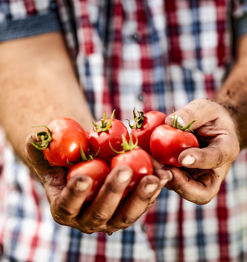 Azienda Agricola Gramazio – Stories